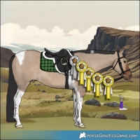 Horse Color:Liver Red Dun Tobiano 