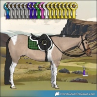 Horse Color:Liver Red Dun Tobiano