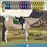 Horse Color:Liver Red Dun Tobiano 