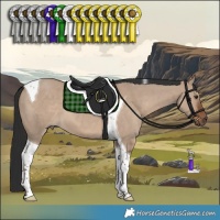 Horse Color:Liver Red Dun Tobiano 