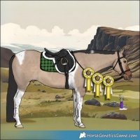 Horse Color:Liver Red Dun Tobiano