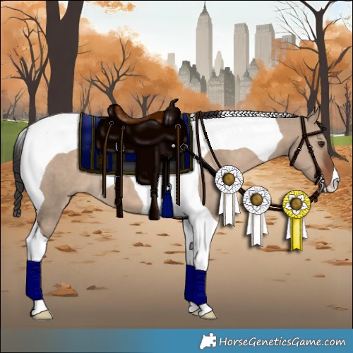 Horse Color:Liver Red Dun Tobiano 