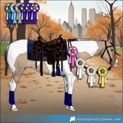 Horse Color:Liver Red Dun Tobiano 