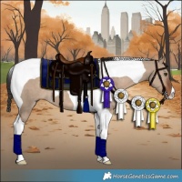 Horse Color:Liver Red Dun Tobiano 