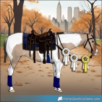 Horse Color:Liver Red Dun Tobiano 