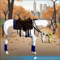 Horse Color:Liver Red Dun Tobiano 