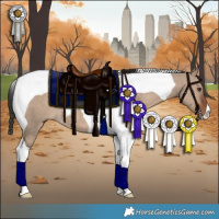 Horse Color:Liver Red Dun Tobiano 