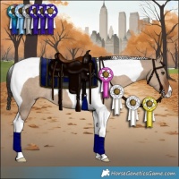 Horse Color:Liver Red Dun Tobiano