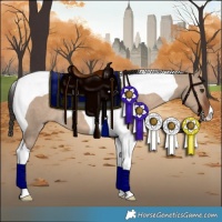 Horse Color:Liver Red Dun Tobiano 