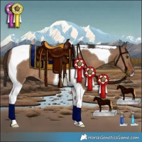 Horse Color:Liver Red Dun Tobiano 