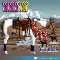 Horse Color:Liver Red Dun Tobiano