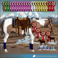 Horse Color:Liver Red Dun Tobiano 