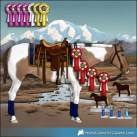 Horse Color:Liver Red Dun Tobiano 