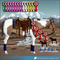 Horse Color:Liver Red Dun Tobiano 