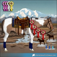 Horse Color:Liver Red Dun Tobiano 