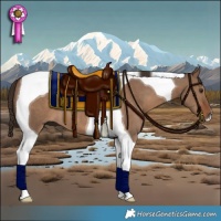 Horse Color:Liver Red Dun Tobiano 