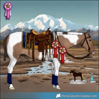 Horse Color:Liver Red Dun Tobiano