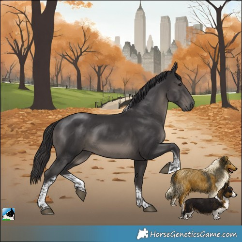 Horse Color:Platinum Smoky Black Tobiano Rabicano