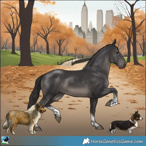 Horse Color:Platinum Smoky Black Tobiano Rabicano 