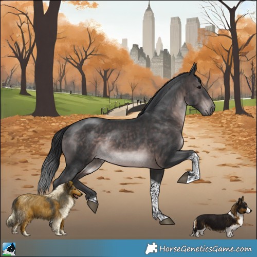 Horse Color:Platinum Brown Tobiano Rabicano
