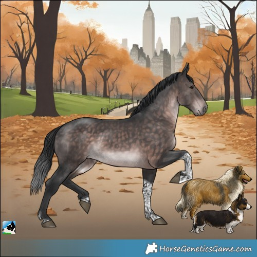 Horse Color:Platinum Brown Tobiano Rabicano