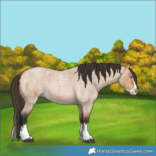 Horse Color:Bay Roan Dun Splash 