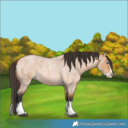 Horse Color:Bay Roan Dun Splash