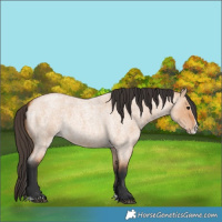 Horse Color:Bay Roan Dun Splash