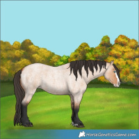Horse Color:Bay Roan Dun Splash