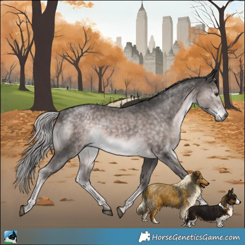 Horse Color:Platinum Chocolate Palomino Mushroom Rabicano 