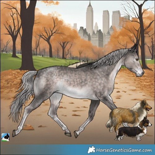 Horse Color:Platinum Chocolate Palomino Mushroom Rabicano