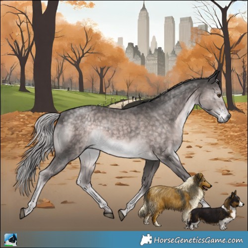 Horse Color:Platinum Chocolate Palomino Mushroom Rabicano 