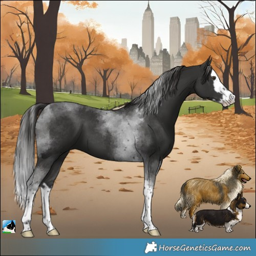 Horse Color:Platinum Liver Chestnut Splash Tobiano 