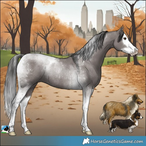 Horse Color:Platinum Liver Red Dun Splash Tobiano