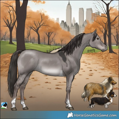 Horse Color:Platinum Liver Red Dun Tobiano 