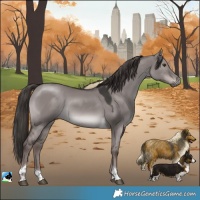 Horse Color:Platinum Liver Red Dun Tobiano 