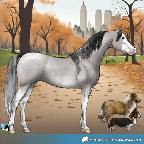 Horse Color:Platinum Liver Red Dun Splash Tobiano Rabicano