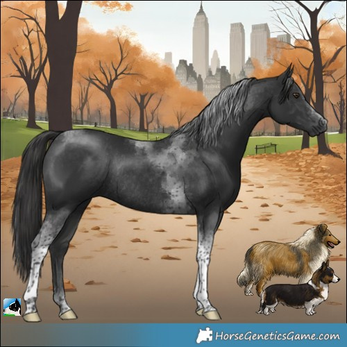Horse Color:Platinum Liver Chestnut Tobiano Rabicano 