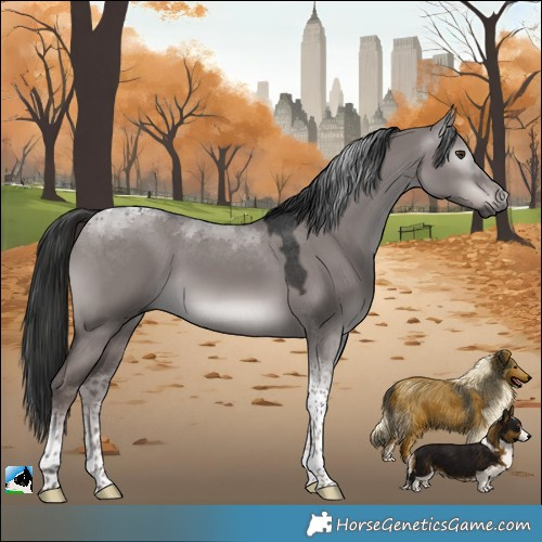 Horse Color:Gray Platinum Liver Red Dun Tobiano 