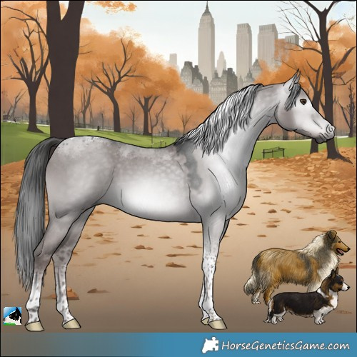 Horse Color:Gray Platinum Liver Red Dun Tobiano 