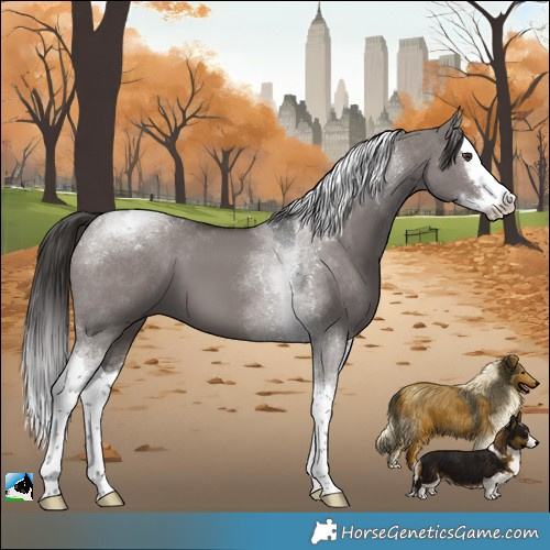 Horse Color:Platinum Liver Red Dun Splash Tobiano 