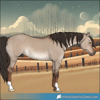 Horse Color:Liver Red Dun 