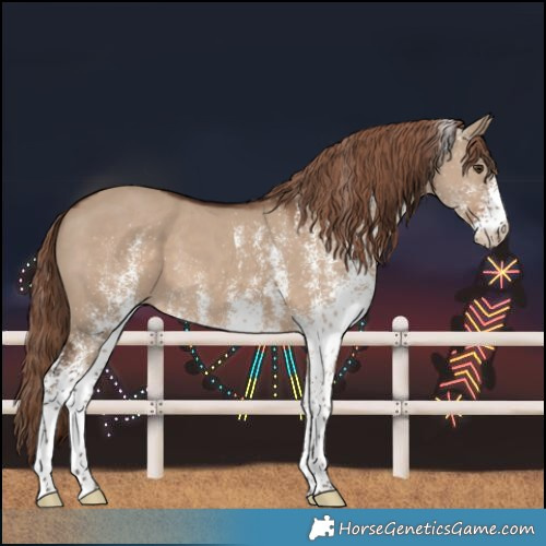 Horse Color:White Spotted Liver Red Dun 
