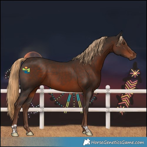 Horse Color:Liver Chestnut 
