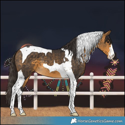 Horse Color:Buckskin Tobiano 