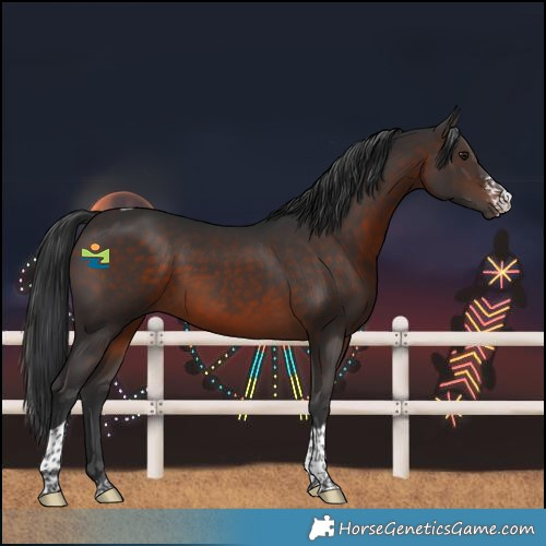 Horse Color:Brown Sabino Tobiano 