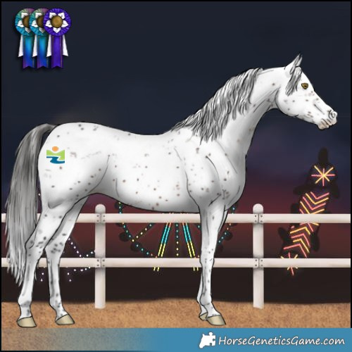 Horse Color:Liver Chestnut Sabino 