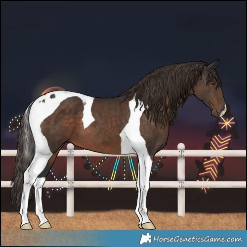Horse Color:Liver Chestnut Tobiano 