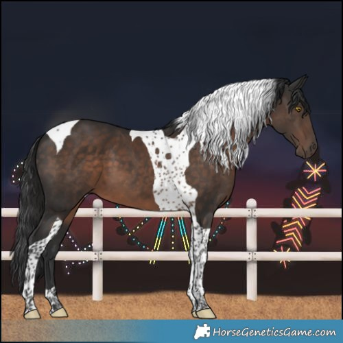 Horse Color:Liver Chestnut Tobiano 