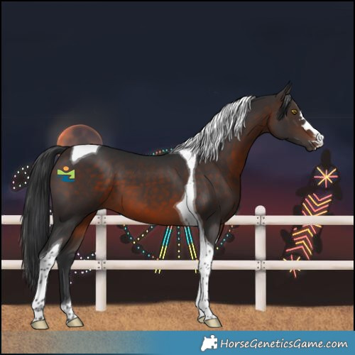 Horse Color:Brown Tobiano 